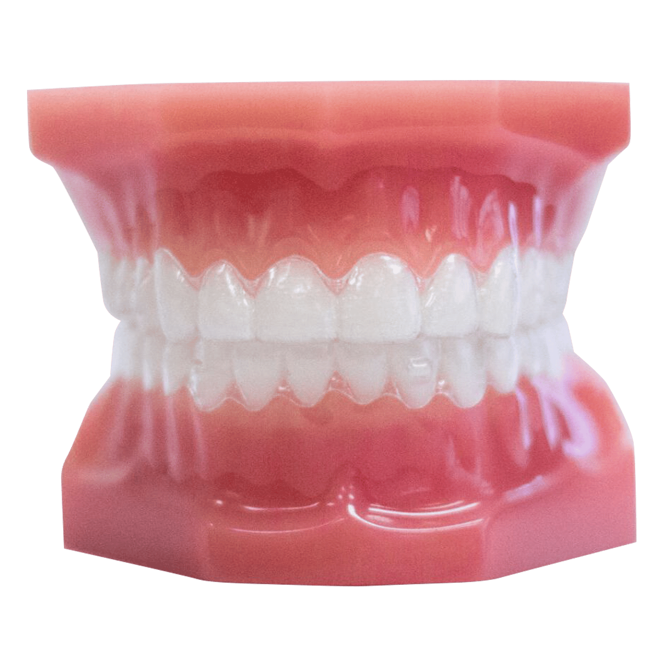 Braces Gainesville FL Next Level Orthodontics